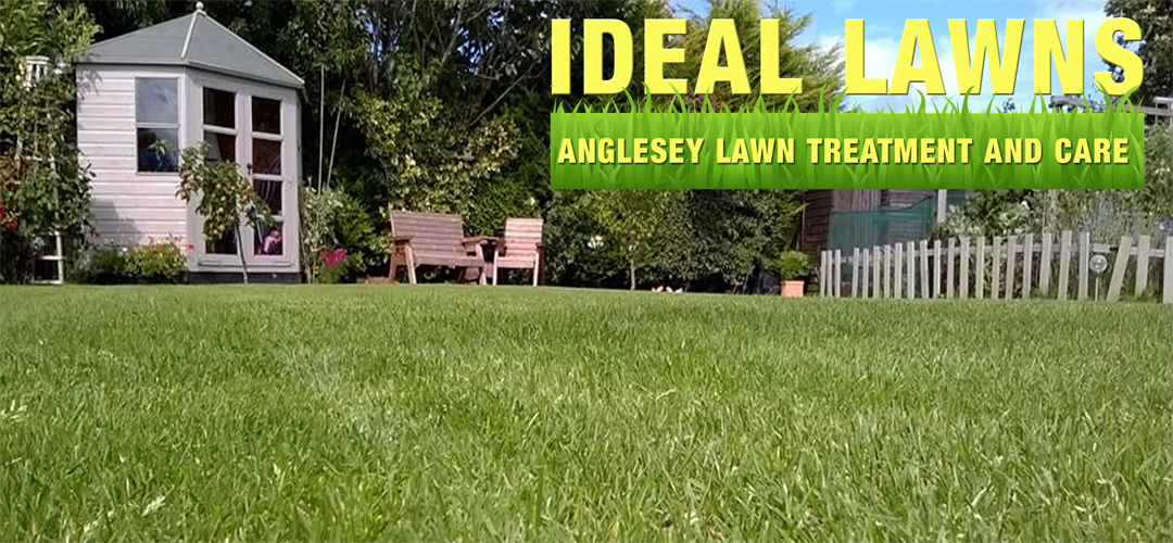 anglesey-lawn-treatment-north-wales
